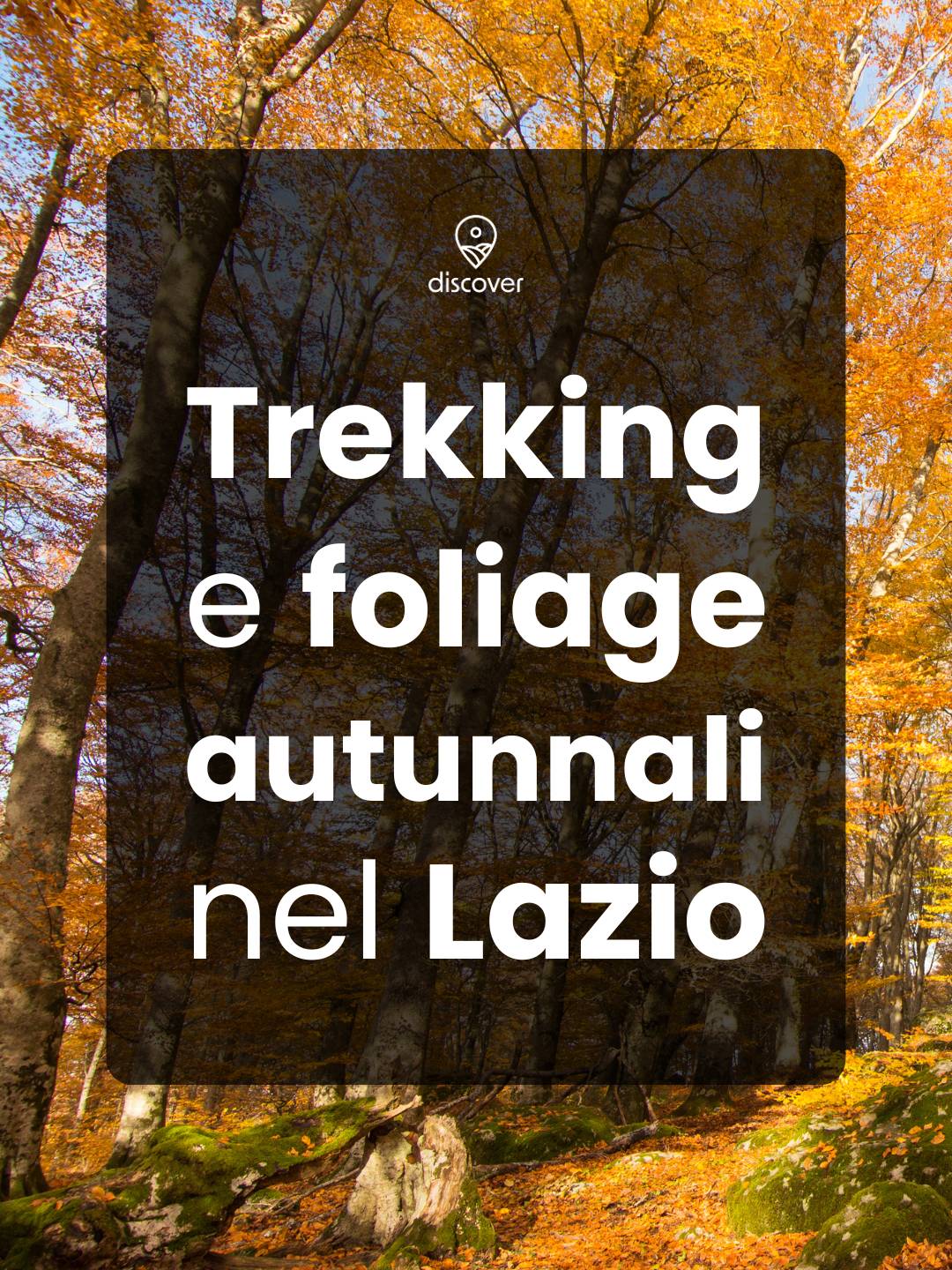 Trekking Autunnali nel Lazio: un'esplosione di colori nella natura - Strike Adventure