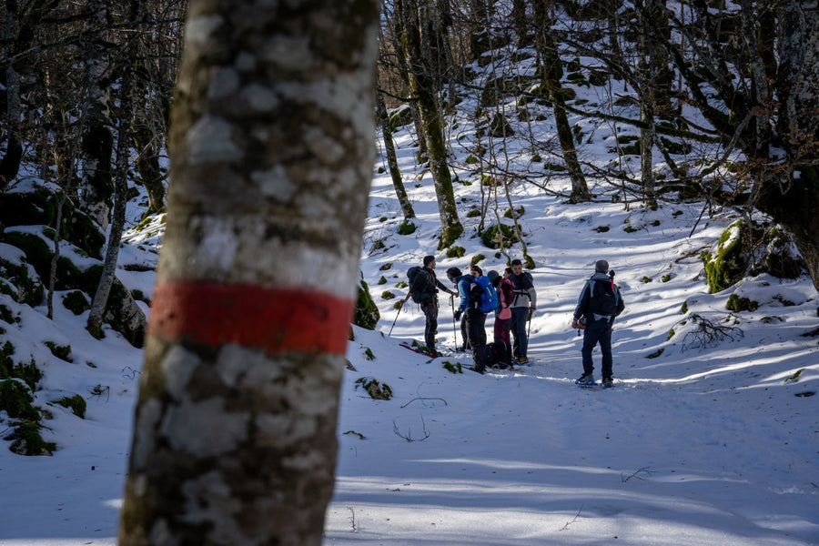 Trekking 3 giorni in ciaspola nell'area protetta più antica d'Italia - PNALM Epiphany Edition – Parco Nazionale d'Abruzzo, Lazio e Molise, Abruzzo | Strike Adventure