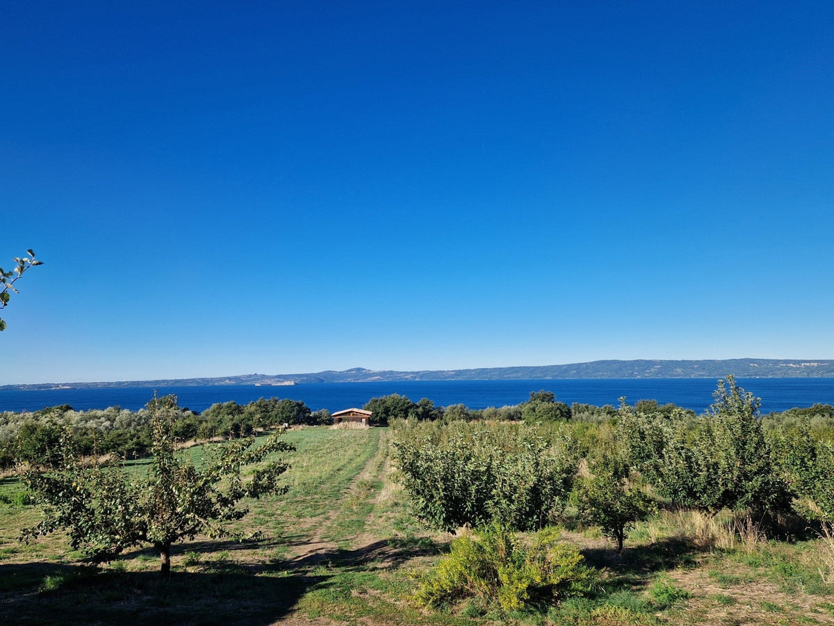 Trekking 3 Giorni sul Cammino dell'Intrepido Larth – Area della Tuscia, Umbria | Strike Adventure