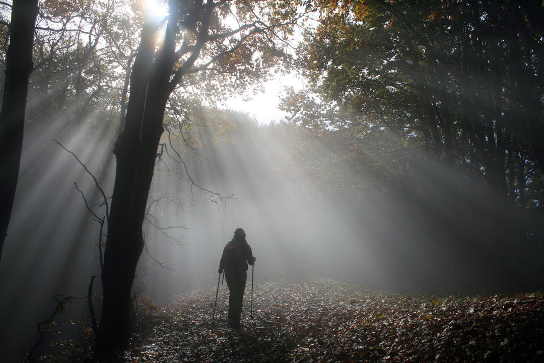 Weekend Toscana: la magia del fall foliage nel Parco delle Foreste Casentinesi