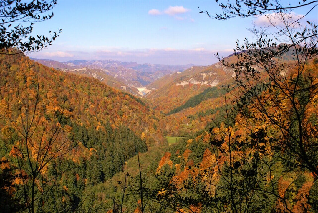 Weekend Toscana: la magia del fall foliage nel Parco delle Foreste Casentinesi