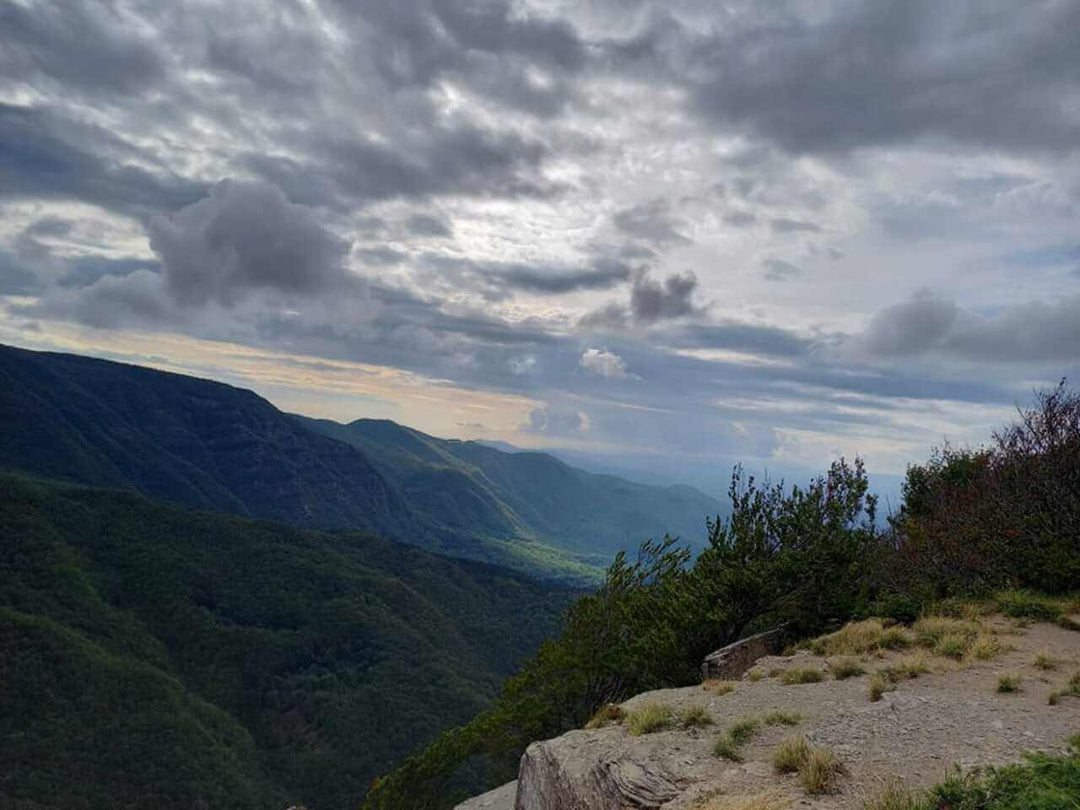 Weekend Toscana: la magia del fall foliage nel Parco delle Foreste Casentinesi