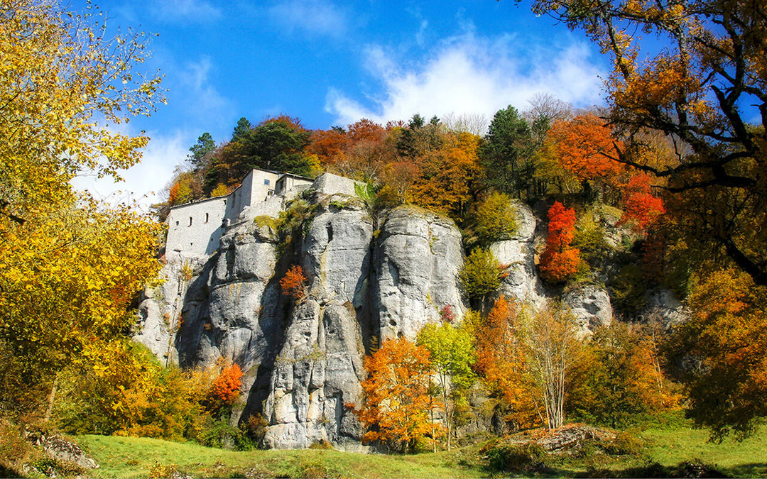 Weekend Toscana: la magia del fall foliage nel Parco delle Foreste Casentinesi