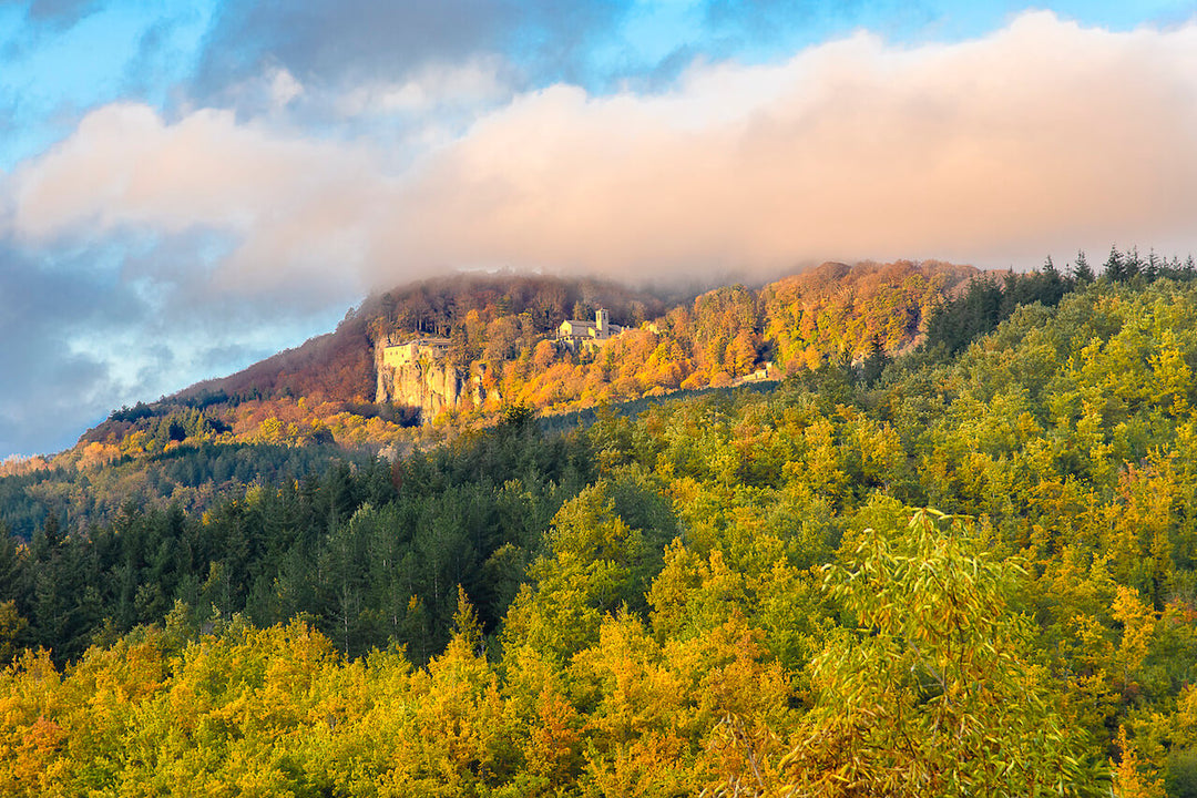 Weekend Toscana: la magia del fall foliage nel Parco delle Foreste Casentinesi