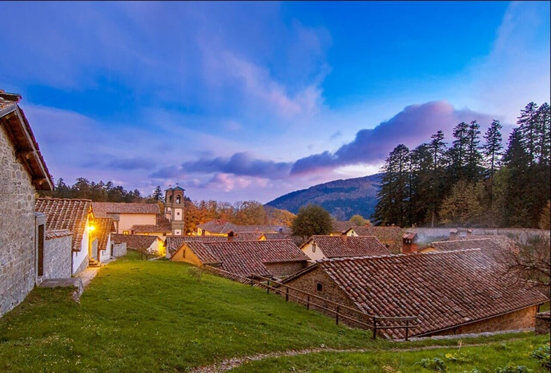 Weekend Toscana: la magia del fall foliage nel Parco delle Foreste Casentinesi