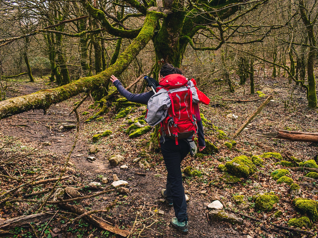 Alla conquista del Monte Pellecchia: il re dei Lucertili - Strike Adventure