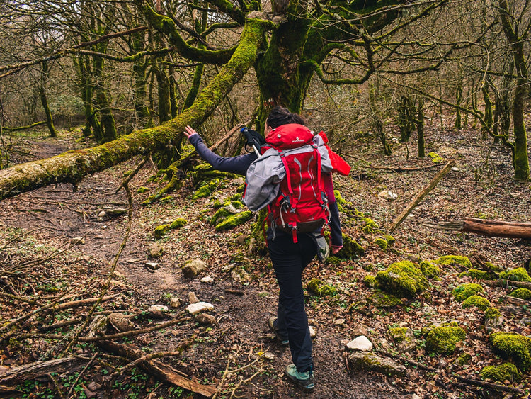 Alla conquista del Monte Pellecchia: il re dei Lucertili - Strike Adventure