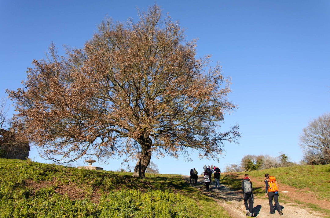 Alla scoperta della Città Fantasma di Monterano - Strike Adventure