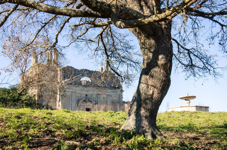 Alla scoperta della Città Fantasma di Monterano - Strike Adventure