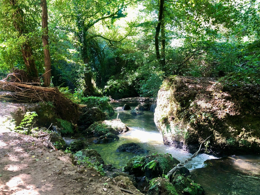 Trekking Alla scoperta di Corchiano: acqua, pietra e antiche vie – Area della Tuscia, Lazio | Strike Adventure