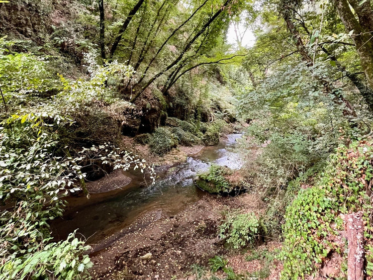 Trekking Alla scoperta di Corchiano: acqua, pietra e antiche vie – Area della Tuscia, Lazio | Strike Adventure