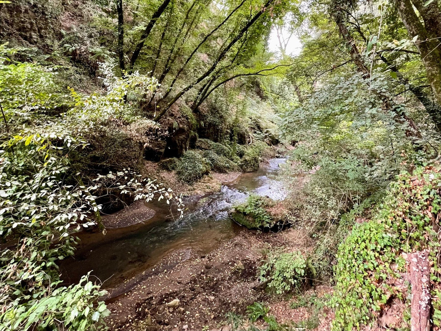 Trekking Alla scoperta di Corchiano: acqua, pietra e antiche vie – Area della Tuscia, Lazio | Strike Adventure