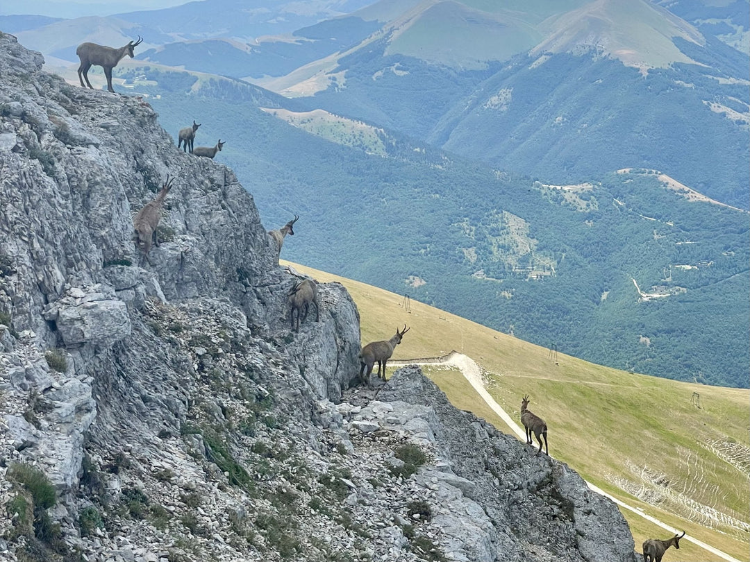 Alta Via dei Monti Sibillini: 15 vette over 2000 e notti tra rifugi e bivacchi - Strike Adventure