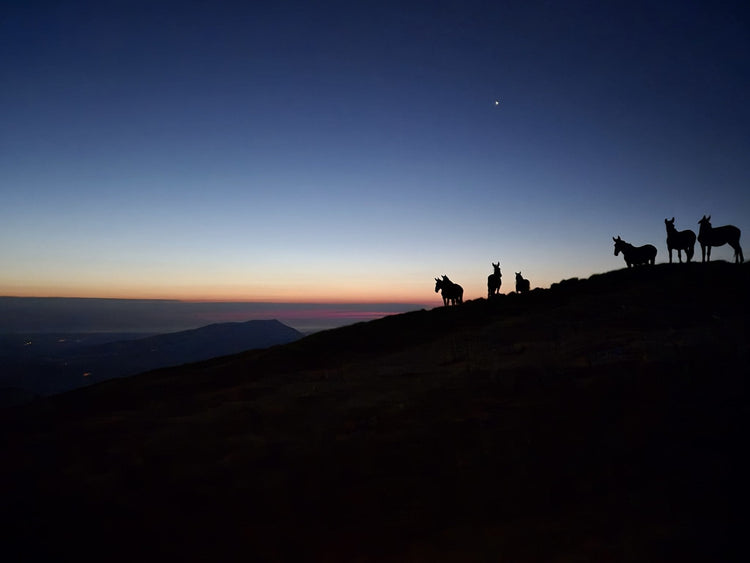 Alta Via della Laga: 12 vette over 2000 e notti sotto le stelle - Strike Adventure