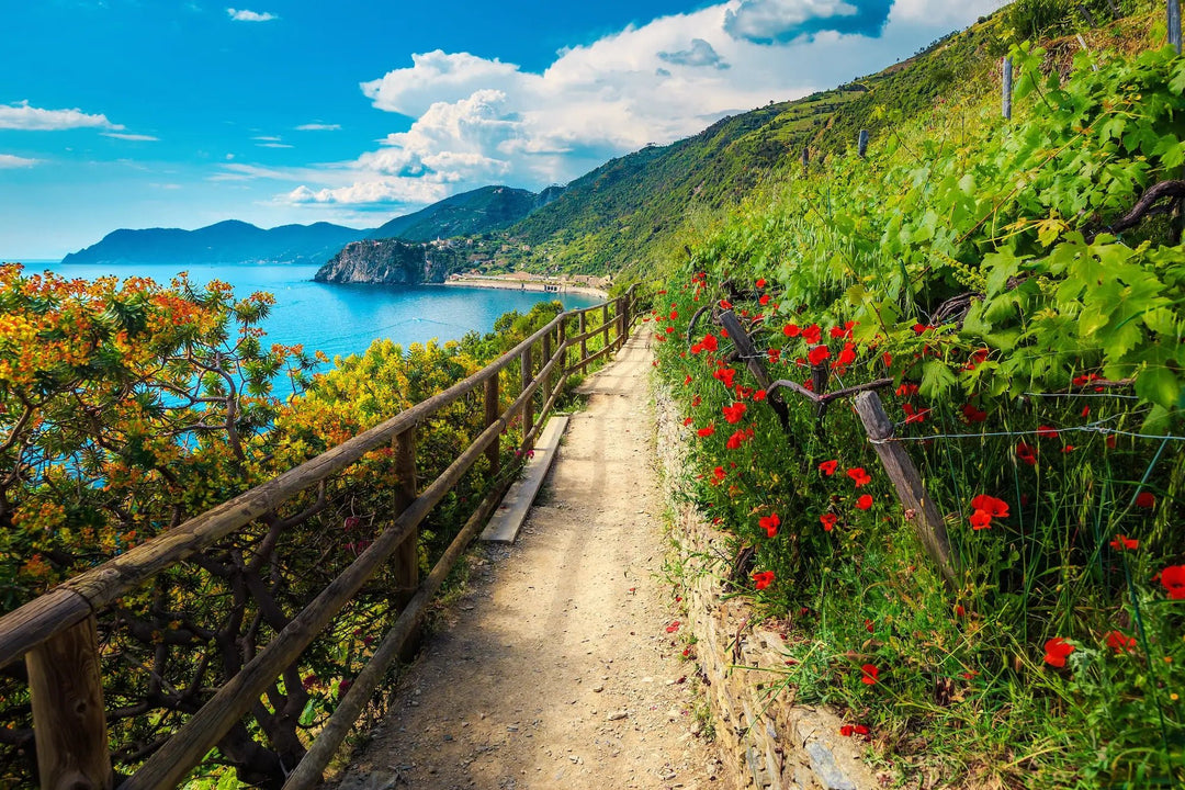 Trekking Alta Via delle Cinque Terre | Strike Adventure