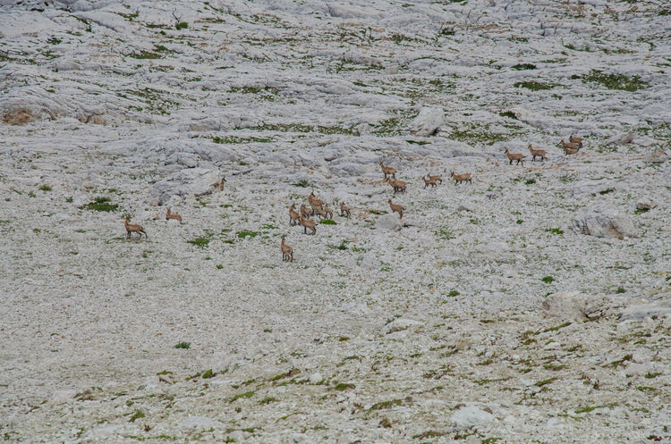 Alta Via Occidentale del Gran Sasso: 10 vette e notti di stelle tra rifugi e bivacchi - Strike Adventure