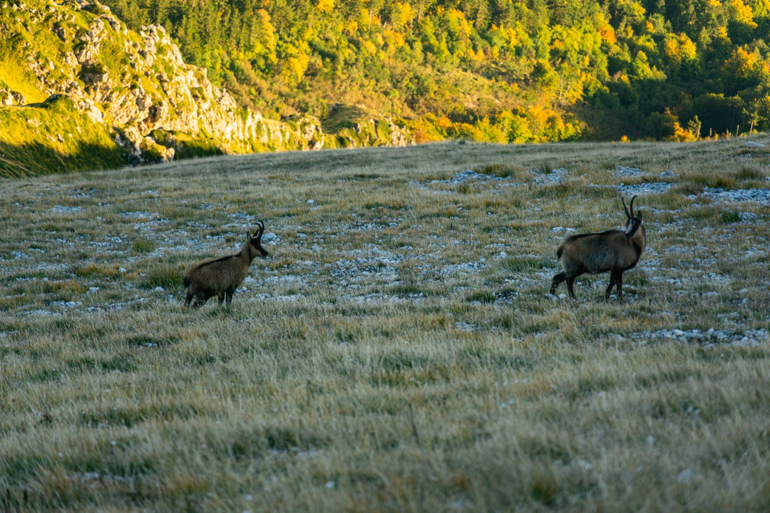 Alta Via Occidentale del Gran Sasso: 10 vette e notti di stelle tra rifugi e bivacchi - Strike Adventure