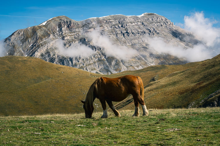 Alta Via Occidentale del Gran Sasso: 10 vette e notti di stelle tra rifugi e bivacchi - Strike Adventure