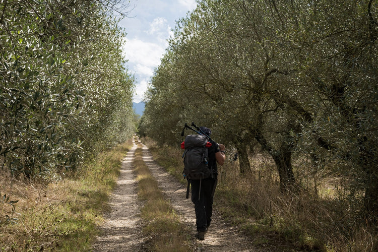 Canyon e Necropoli della Via Amerina, un viaggio tra Natura e Avventura - Strike Adventure