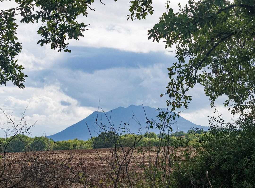 Canyon e Necropoli della Via Amerina, un viaggio tra Natura e Avventura - Strike Adventure