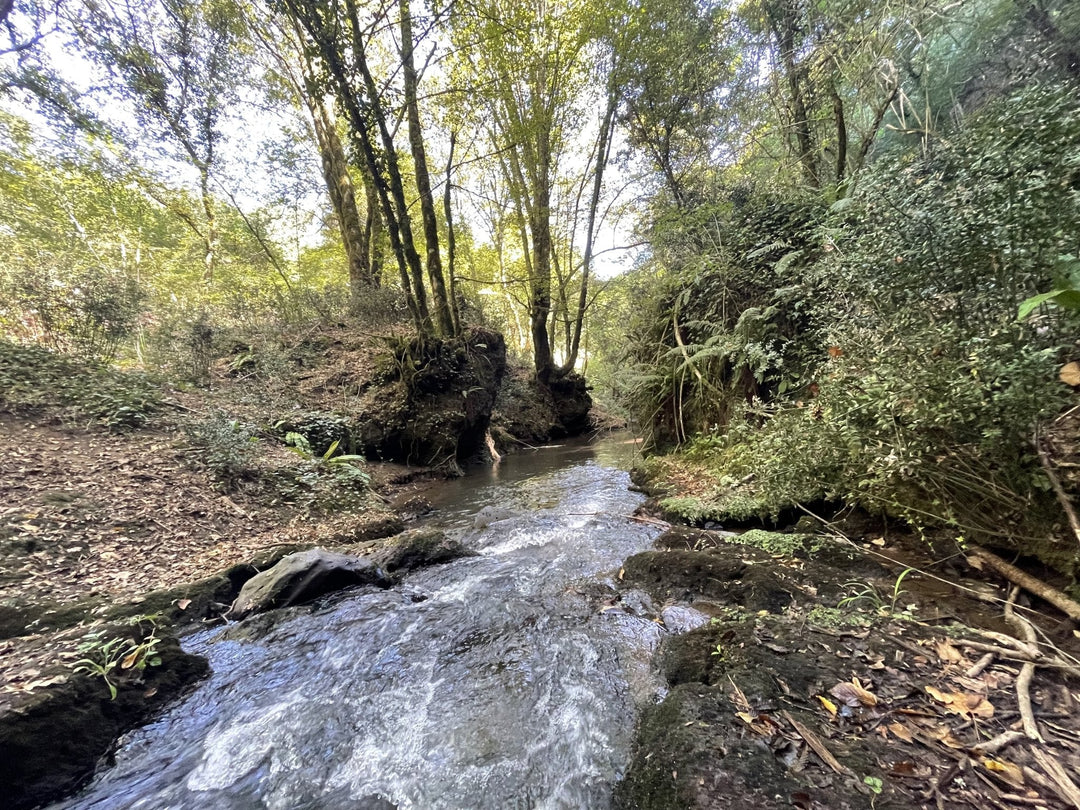 Canyon e Necropoli della Via Amerina, un viaggio tra Natura e Avventura - Strike Adventure