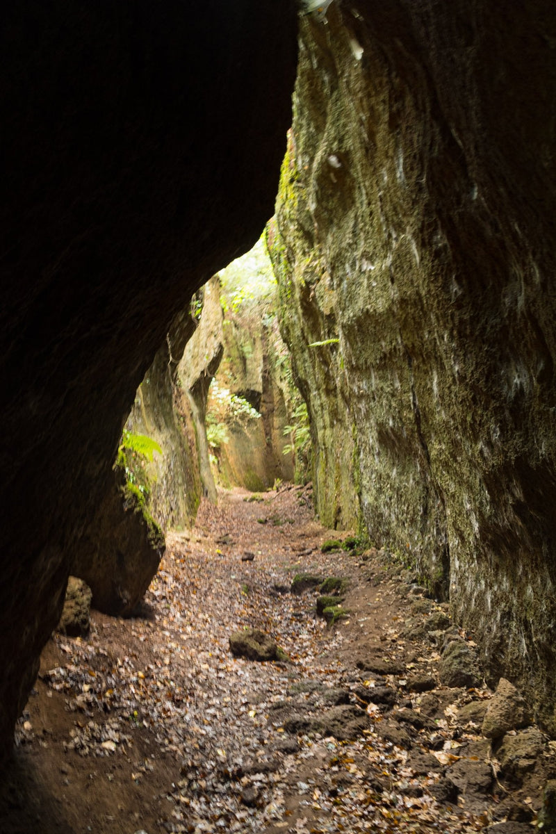 Immagine per 
Canyon e Necropoli della Via Amerina, un viaggio tra Natura e Avventura