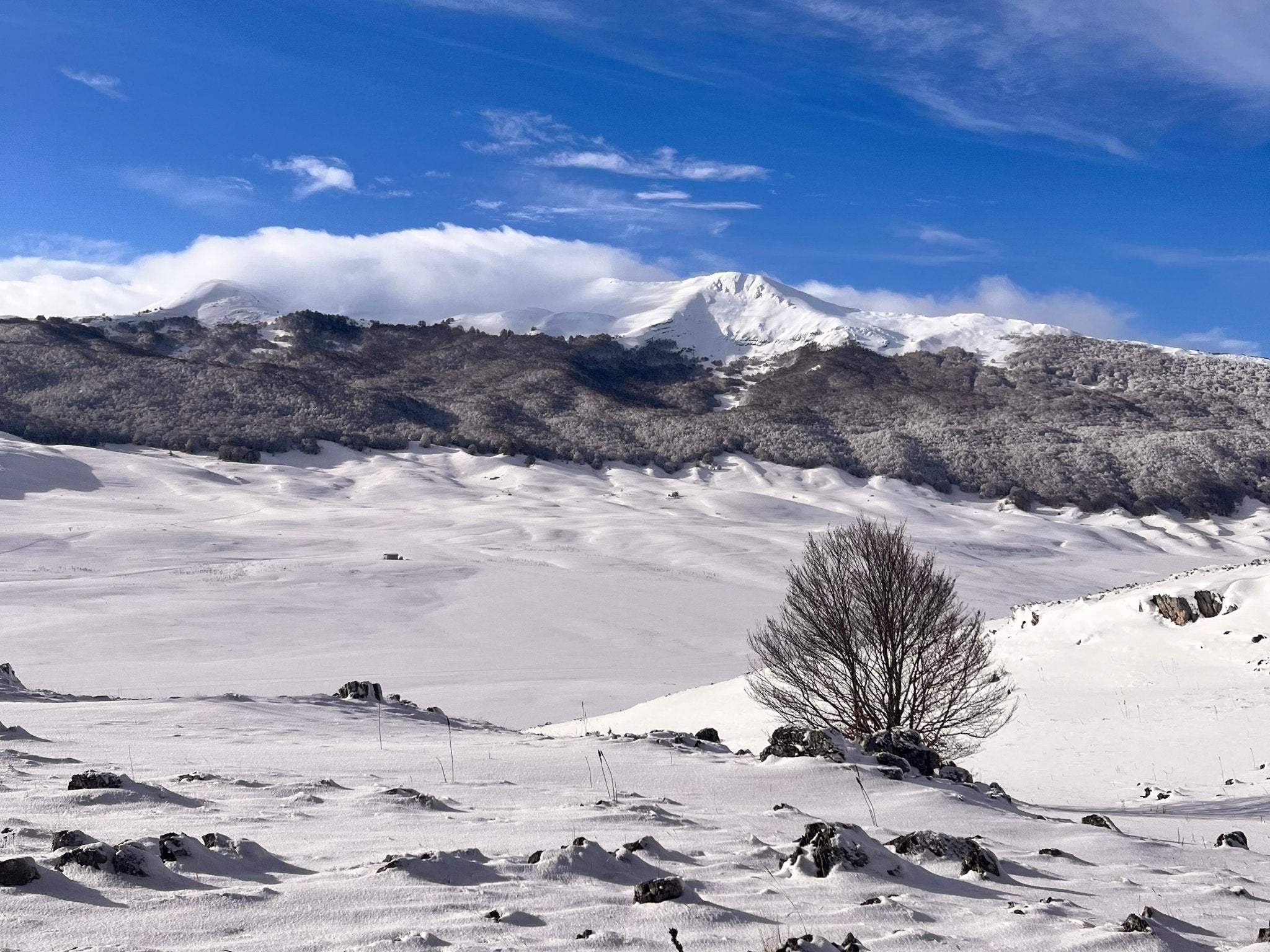 Ciaspolata lungo le creste panoramiche del Monte Orsello - Strike Adventure