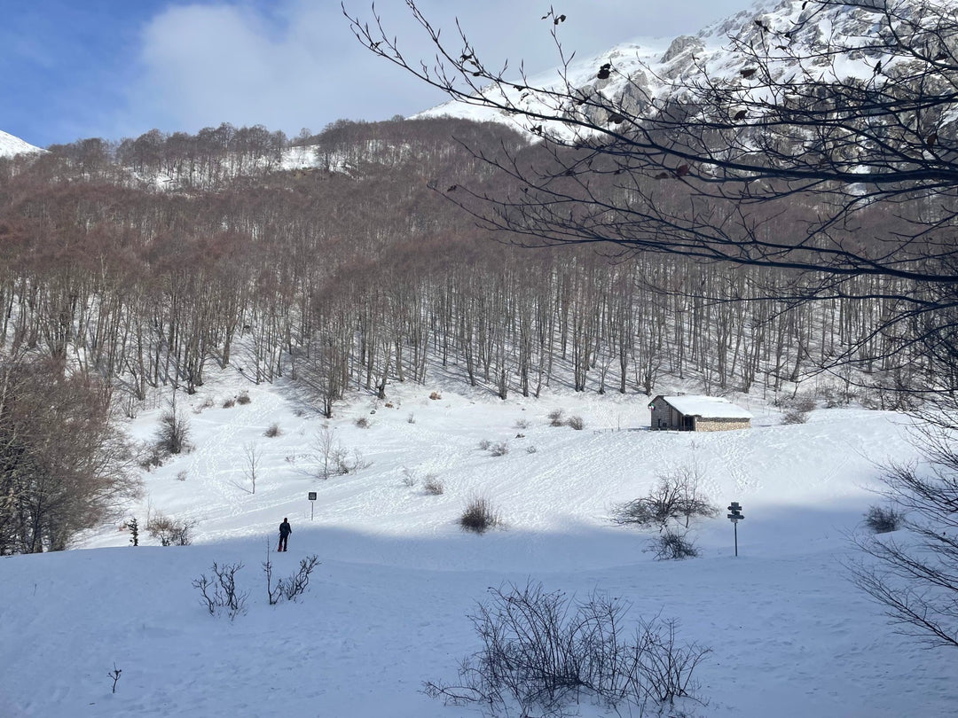 Ciaspolata Panoramica alla Valle degli Angeli e al Rifugio La Fossa - Strike Adventure
