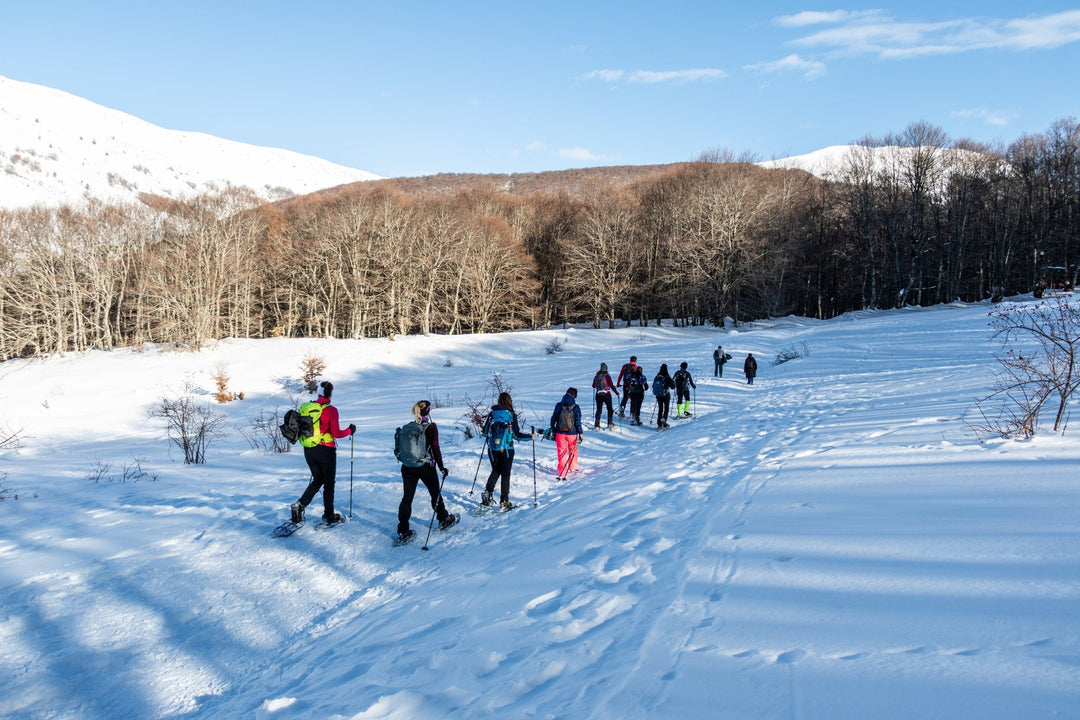 Ciaspolata Panoramica sul Terminllo con Pranzo al Rifugio A.Sebastiani - Strike Adventure