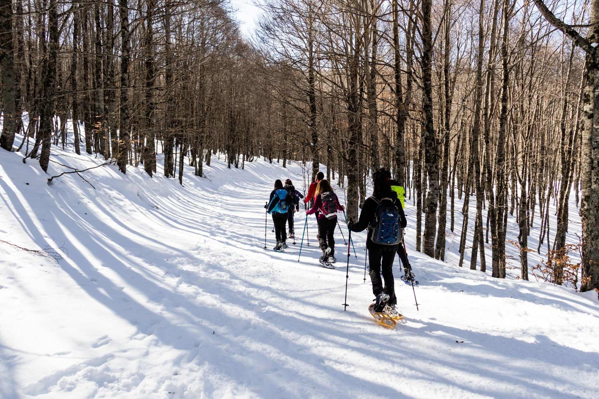 Ciaspolata Panoramica sul Terminllo con Pranzo al Rifugio A.Sebastiani - Strike Adventure