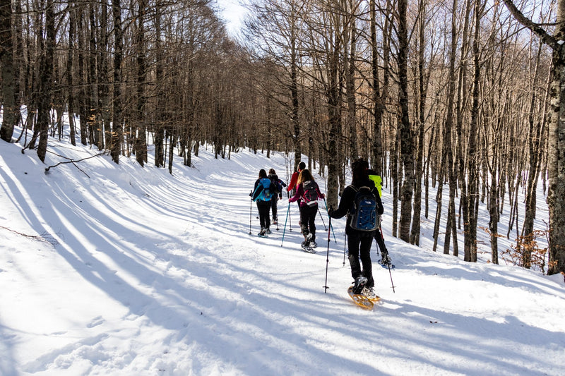 Immagine per 
Ciaspolata Panoramica sul Terminllo con Pranzo al Rifugio A.Sebastiani
