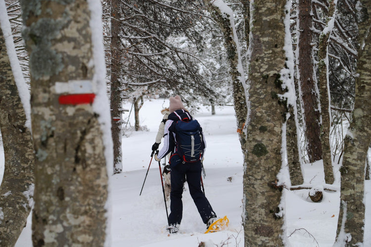 Ciaspolata Panoramica sul Terminllo con Pranzo al Rifugio A.Sebastiani - Strike Adventure