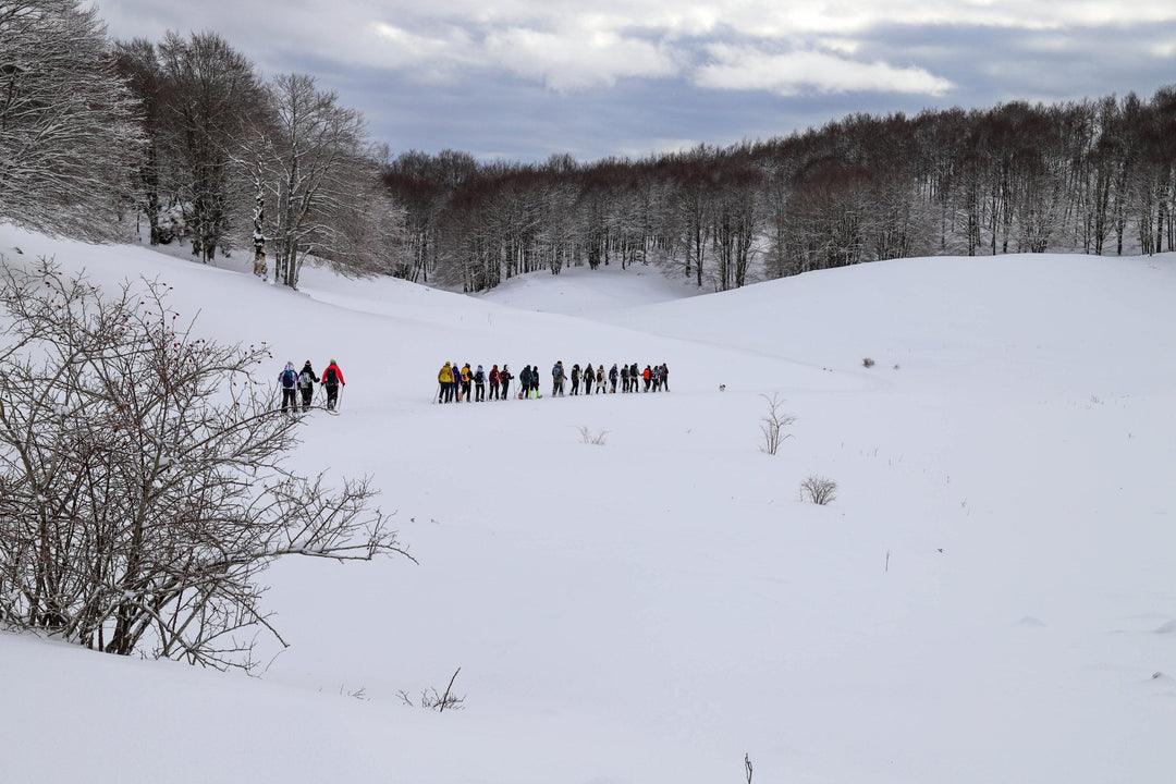 Ciaspolata Panoramica sul Terminllo con Pranzo al Rifugio A.Sebastiani - Strike Adventure