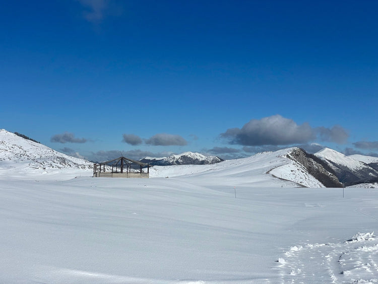 Ciaspolata Panoramica tra i pianori carsici innevati di Campo Catino - Strike Adventure
