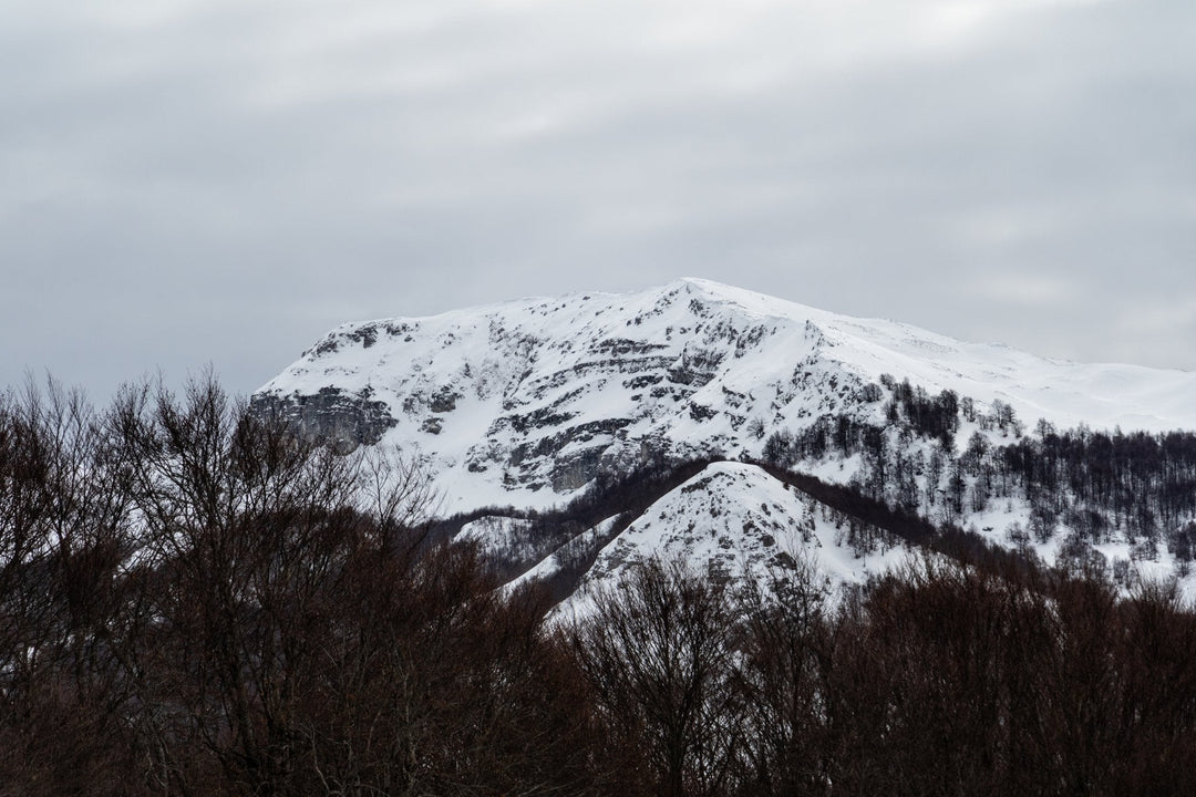 Ciaspolata tra i Boschi del Cerasolo con Pranzo al Rifugio San Rocco - Strike Adventure