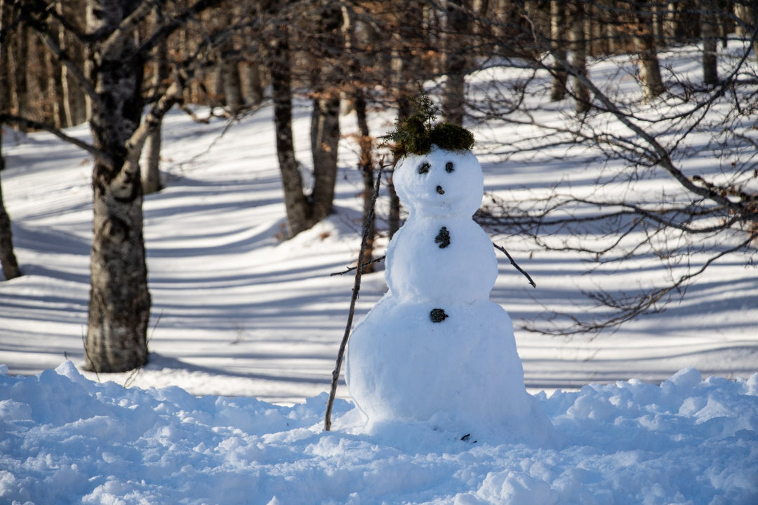 Ciaspolata tra i Boschi del Cerasolo con Pranzo al Rifugio San Rocco - Strike Adventure