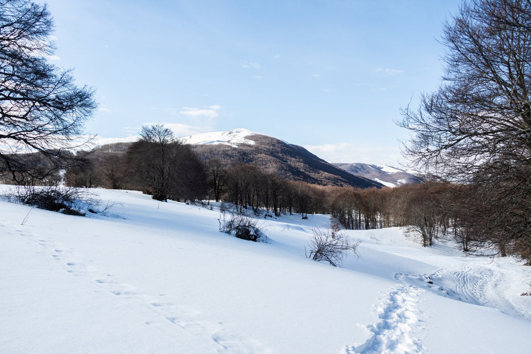 Ciaspolata tra i Boschi del Cerasolo con Pranzo al Rifugio San Rocco - Strike Adventure