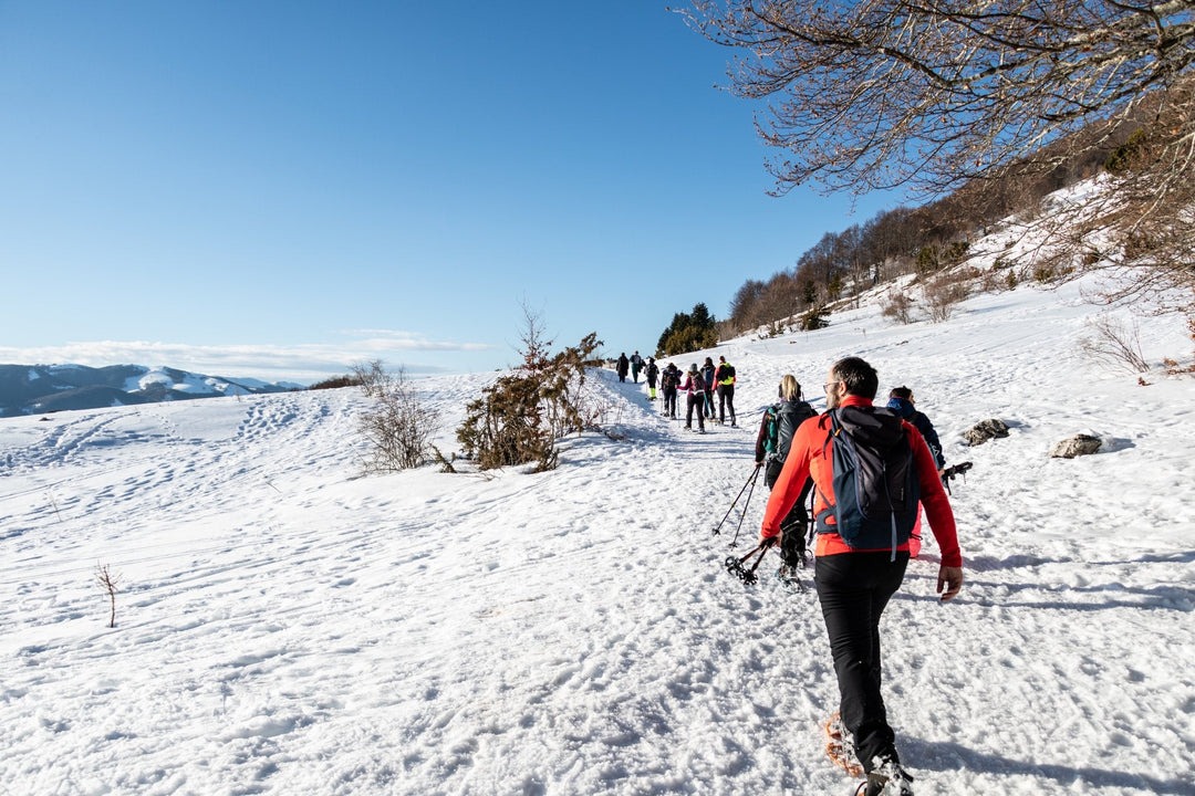 Ciaspolata tra i Boschi del Cerasolo con Pranzo al Rifugio San Rocco - Strike Adventure