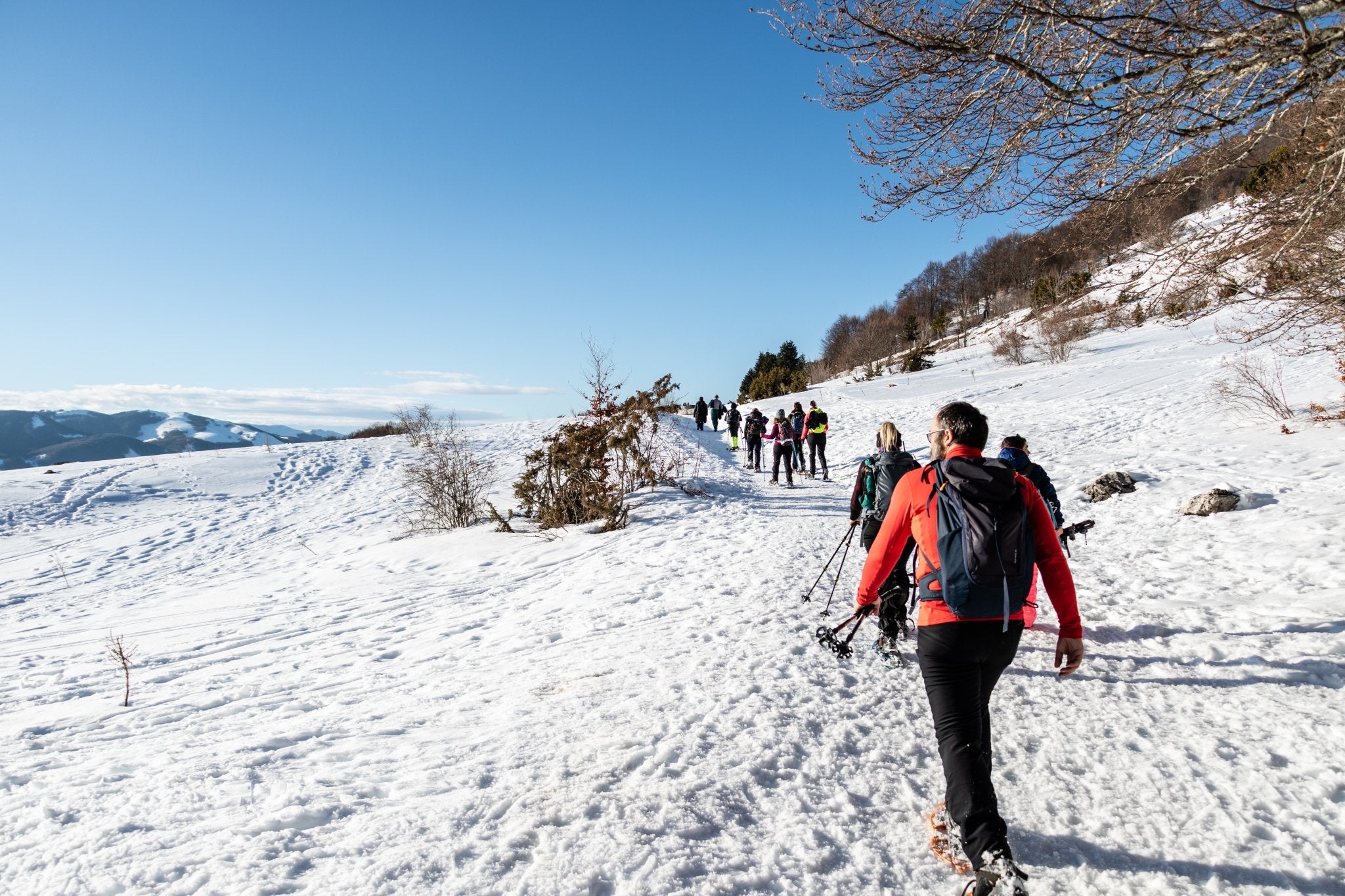 Ciaspolata tra i Boschi del Cerasolo con Pranzo al Rifugio San Rocco - Strike Adventure