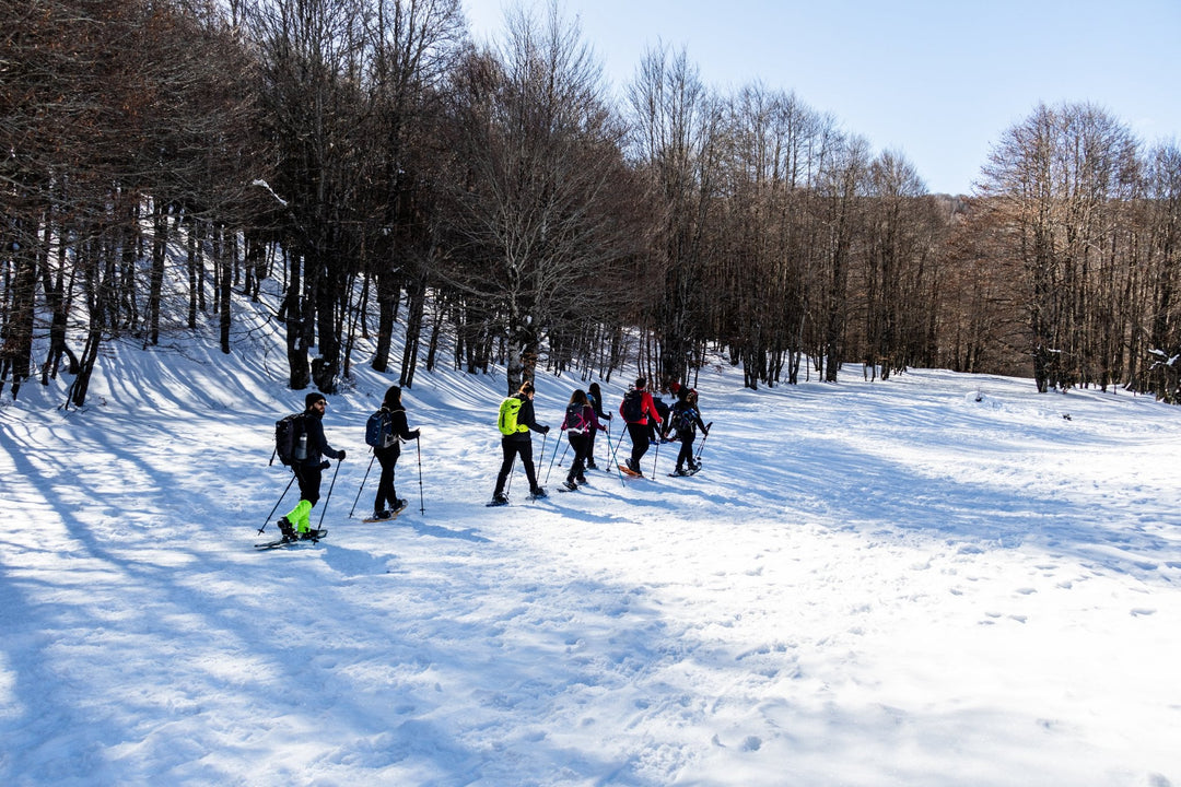 Ciaspolata tra i Boschi del Cerasolo con Pranzo al Rifugio San Rocco - Strike Adventure