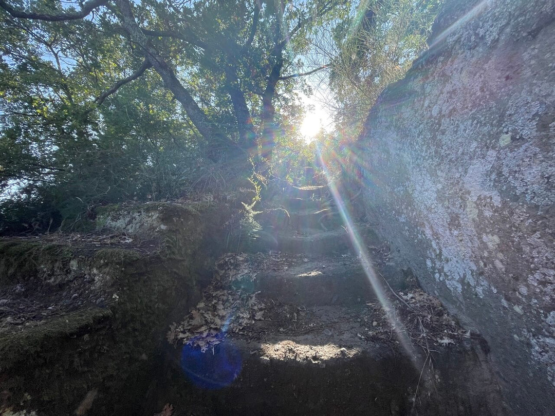 Corviano sotterranea, tra antichi canyon e cascate incantate - Strike Adventure