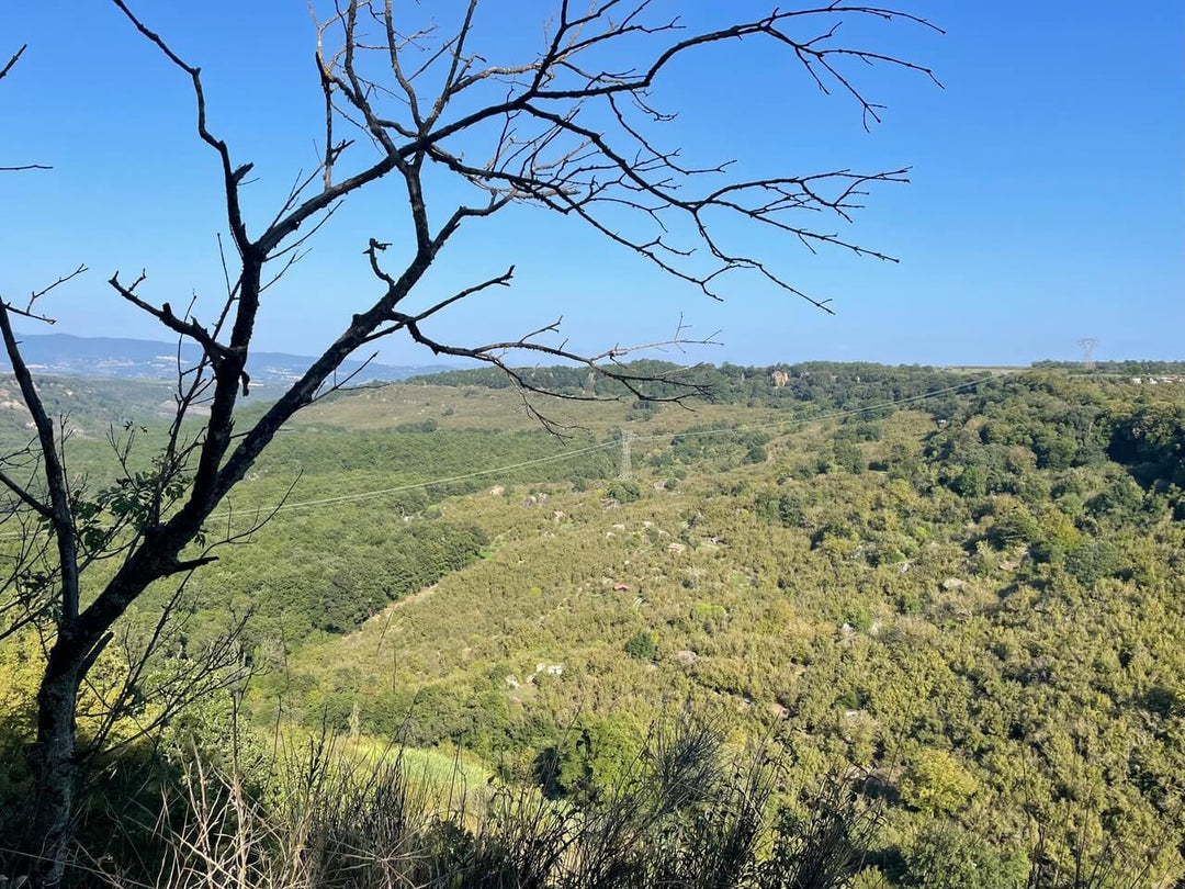 Corviano sotterranea, tra antichi canyon e cascate incantate - Strike Adventure