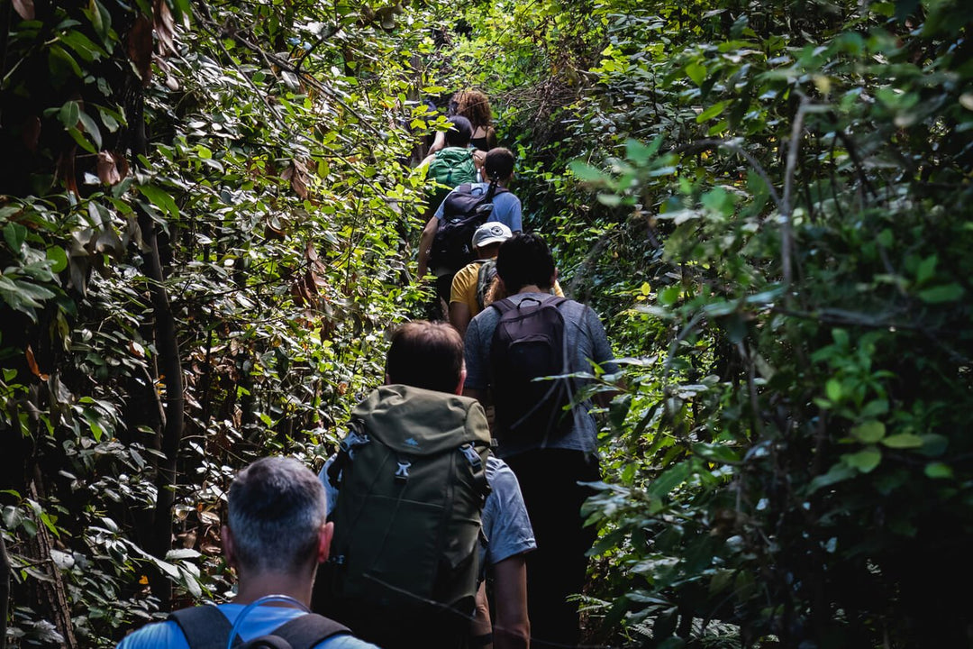 Escursione al Lago di Nemi e il Sentiero degli Acquedotti - Strike Adventure