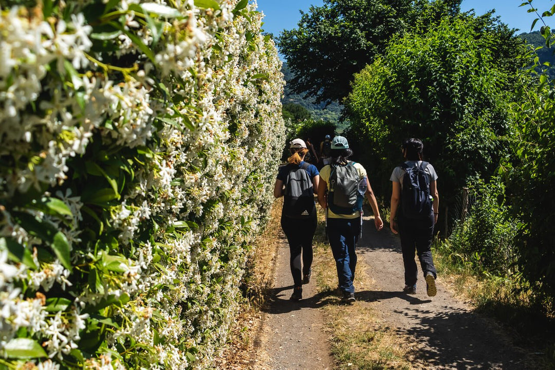 Escursione al Lago di Nemi e il Sentiero degli Acquedotti - Strike Adventure
