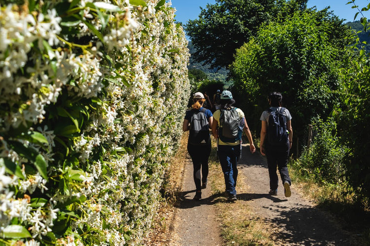 Escursione al Lago di Nemi e il Sentiero degli Acquedotti - Strike Adventure