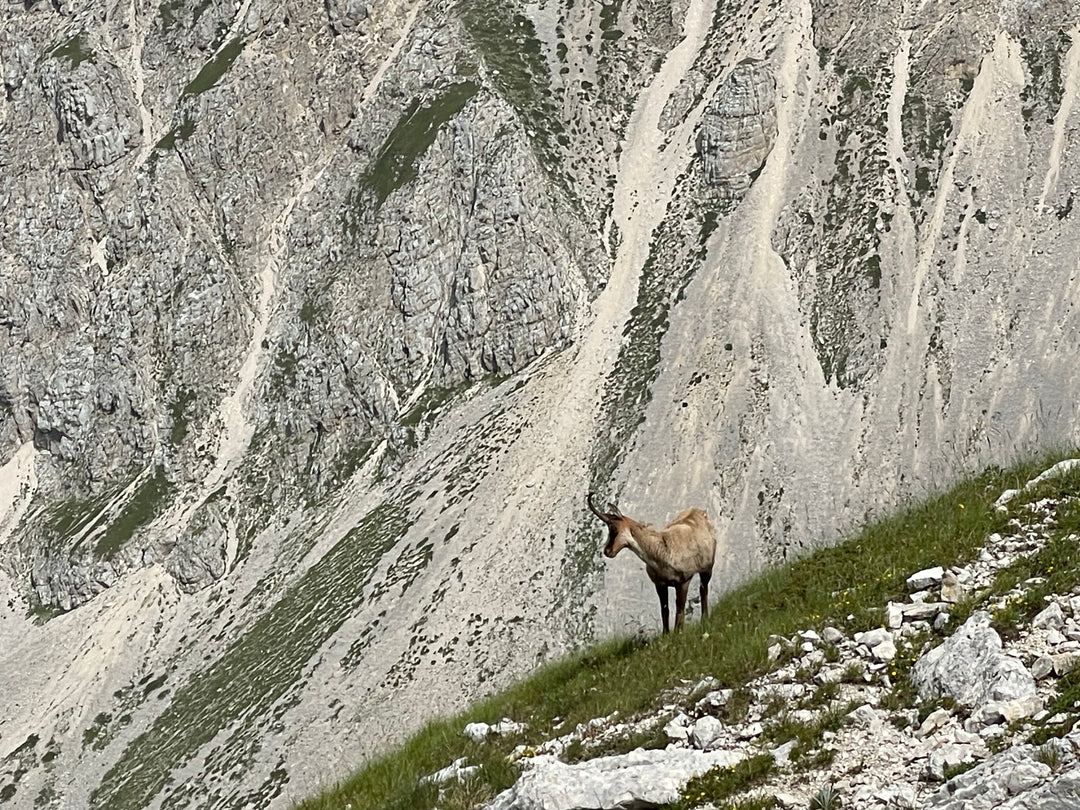 Extreme al Pizzo Intermesoli e alla Nord di Pizzo Cefalone