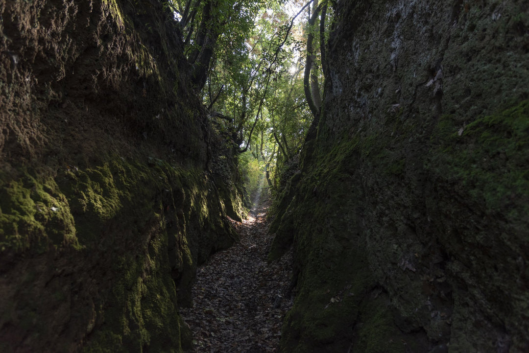 Le Cascate e i Cavoni di Nepi (Versione Avventura)