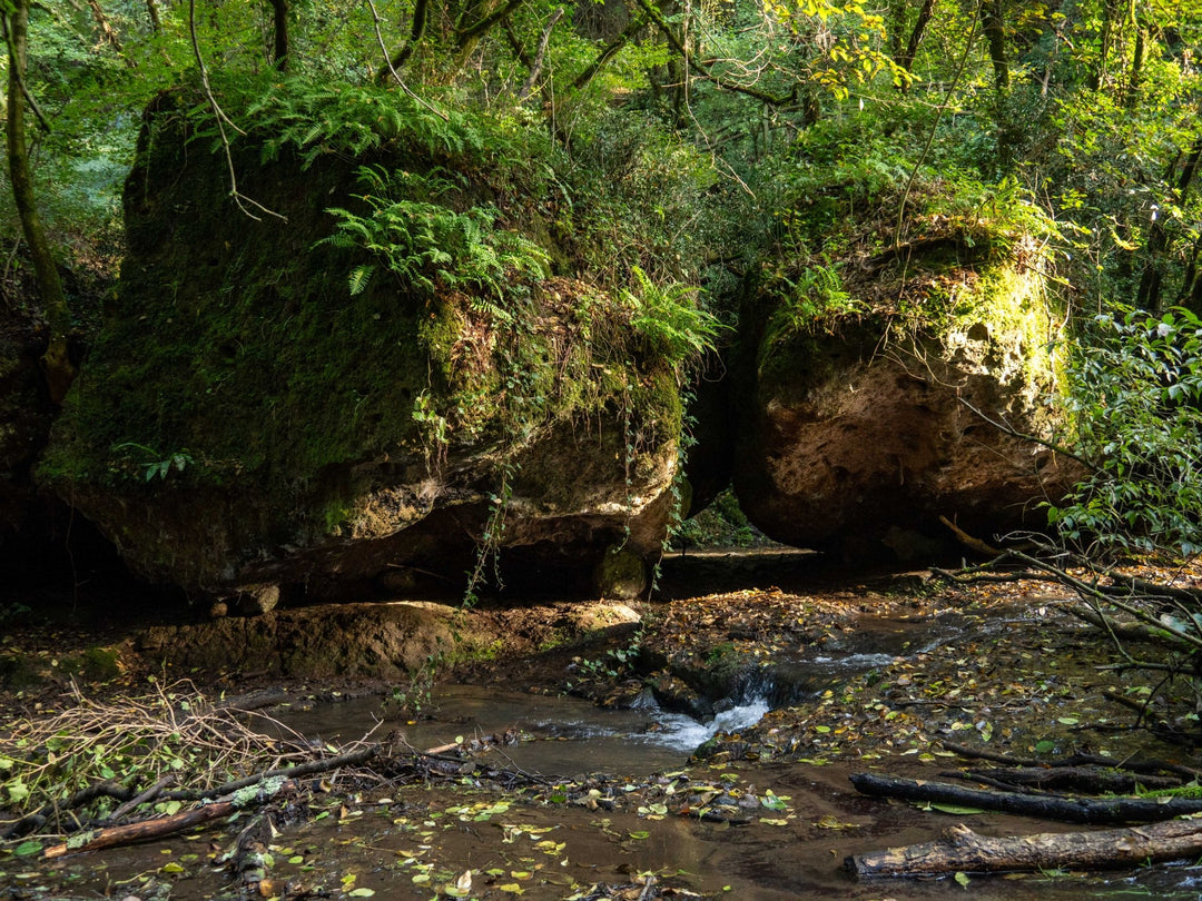 Le Cascate e i Cavoni di Nepi (Versione Avventura)