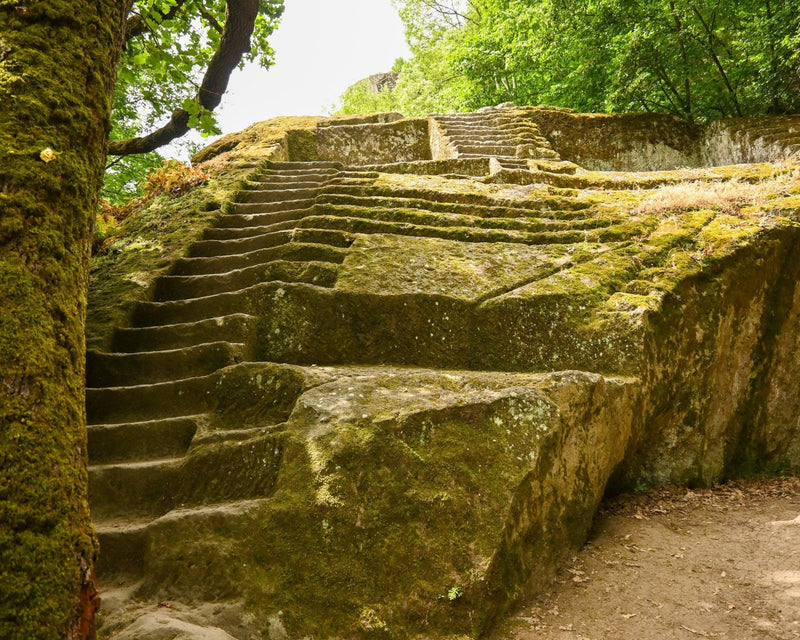 Immagine per 
Escursione tra storia e natura: la piramide etrusca e le cascate di Chia