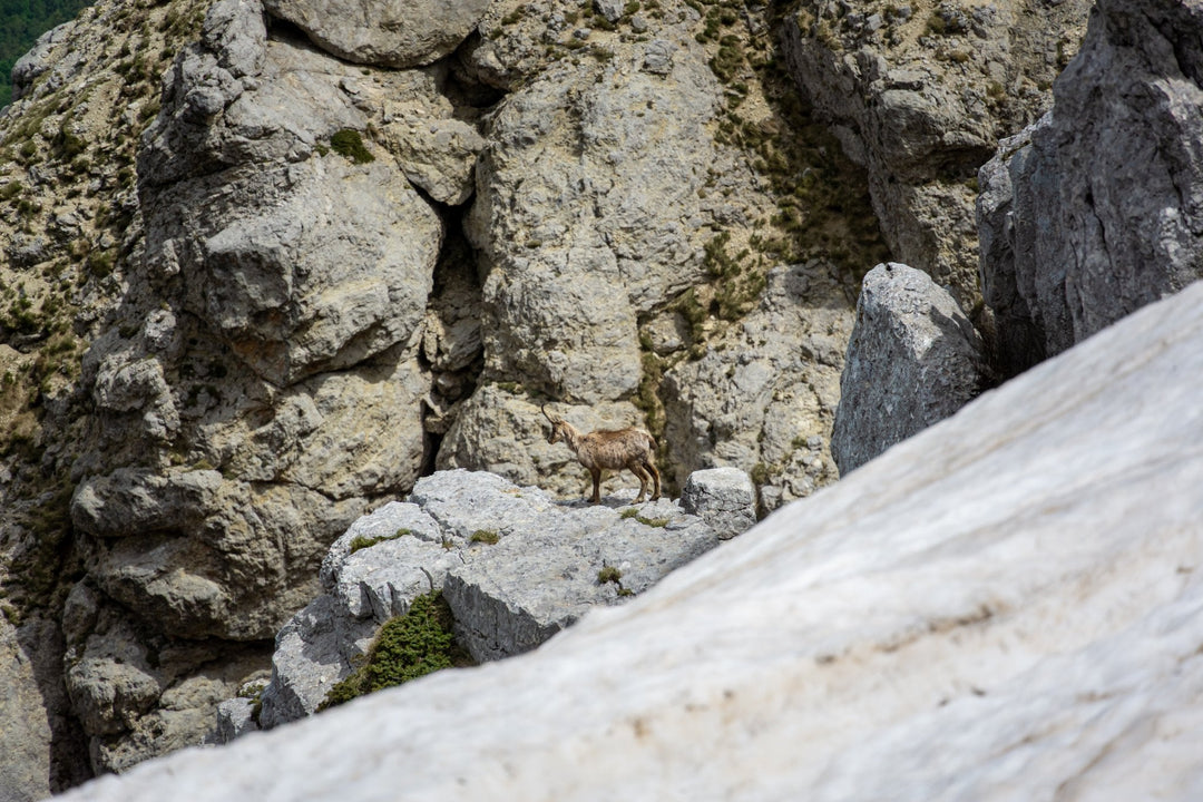 Extreme al Grande Anello delle Mainarde con terzo tempo alla Sagra della Pastorizia - Strike Adventure